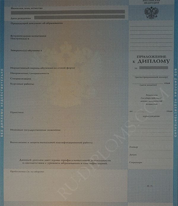 Диплом магистра 2004-2009 год 